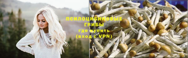 каннабис Богданович