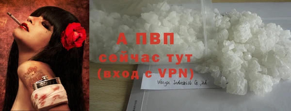каннабис Богданович