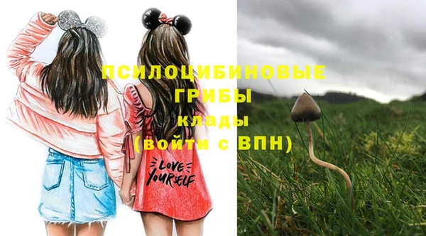 экстази Богородицк